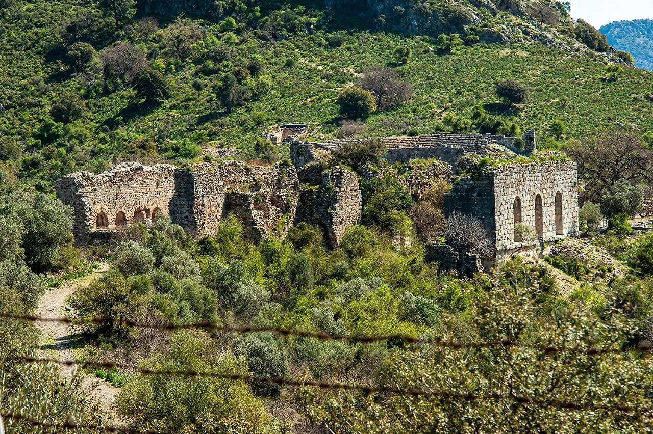 ****  Dalyan Hotel Nish Caria Tyrkiet